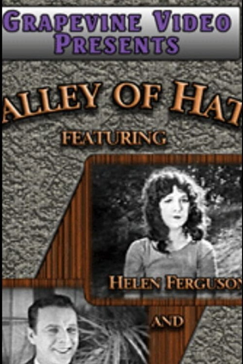 Movie poster for Valley of Hate (1924)