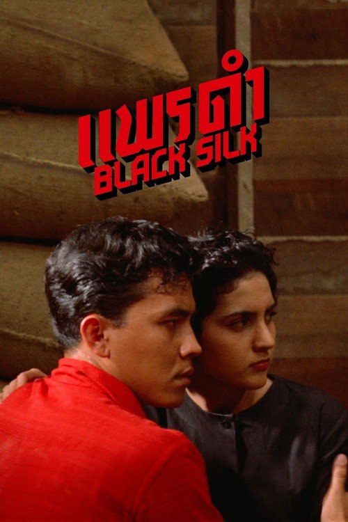Movie poster for Black Silk (1961)
