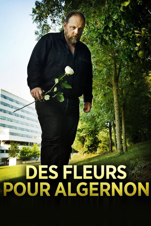 Movie poster for Flowers for Algernon (2014)