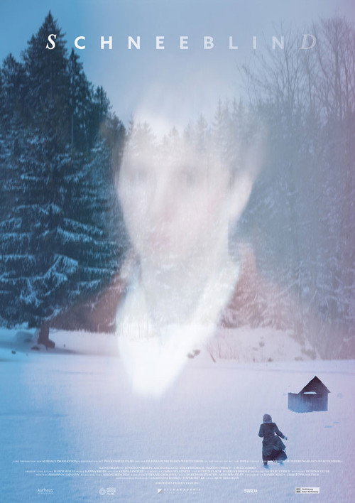 Movie poster for Snowblind (2017)