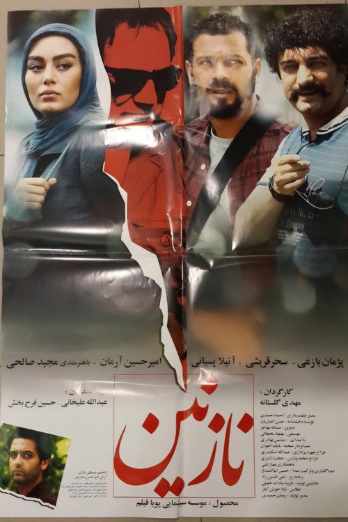 Movie poster for Nazanin (2013)