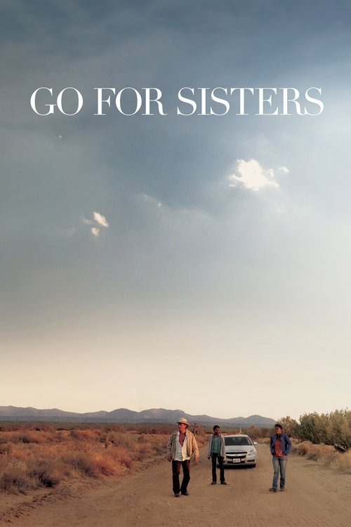 Movie poster for Go for Sisters (2013)