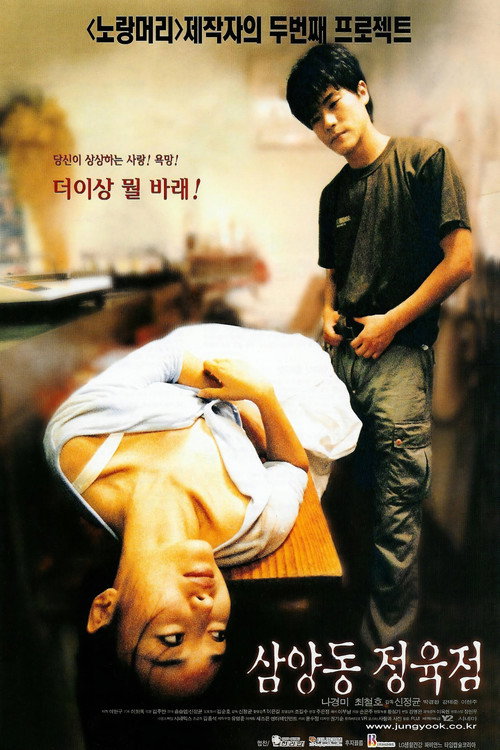 Movie poster for Butcher's Wife (1999)