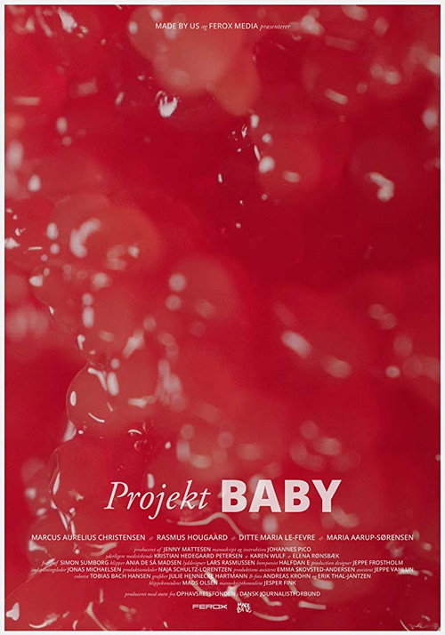 Movie poster for Project Baby (2018)