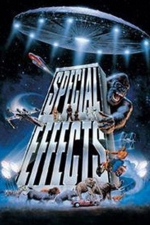 Movie poster for Special Effects: Anything Can Happen (1996)