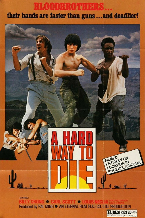 Movie poster for Sun Dragon (1979)