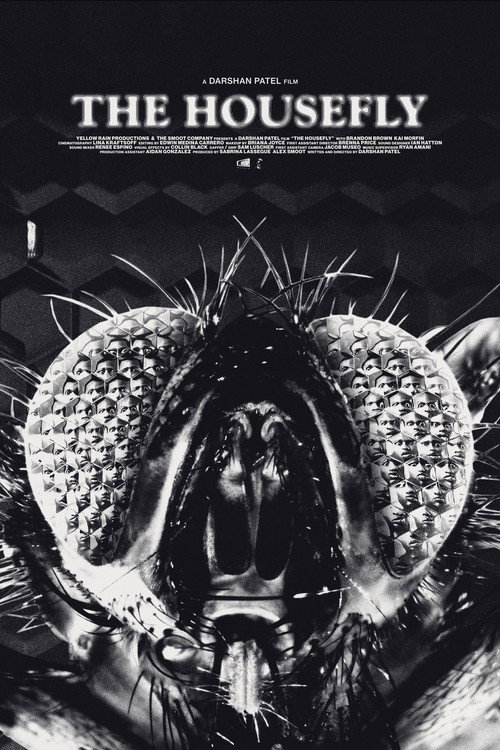 Movie poster for The Housefly (2023)