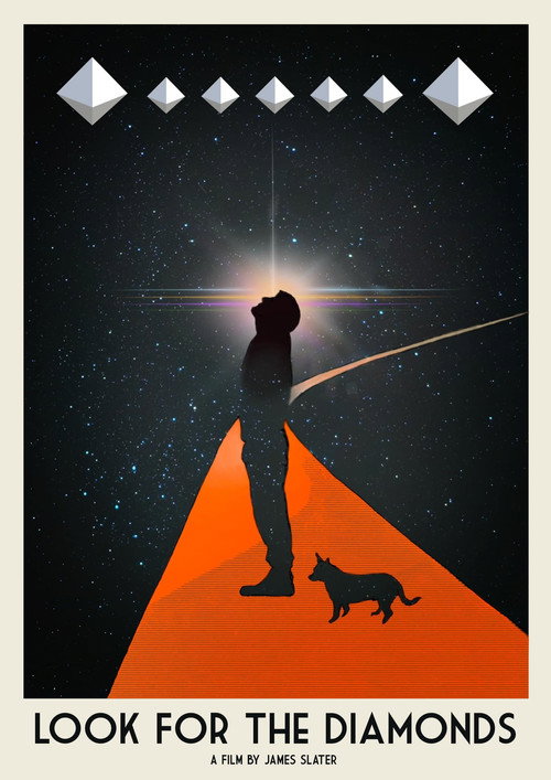 Movie poster for Look For The Diamonds