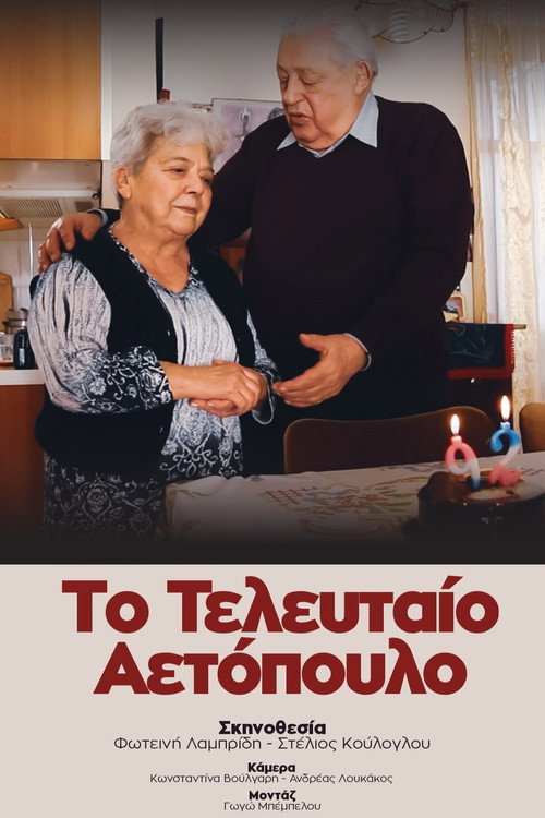Movie poster for The Last Partisan (2023)