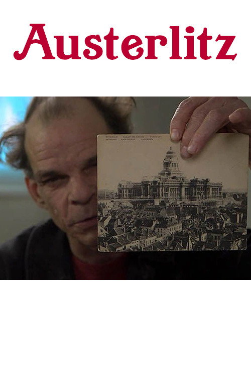 Movie poster for Austerlitz (2015)