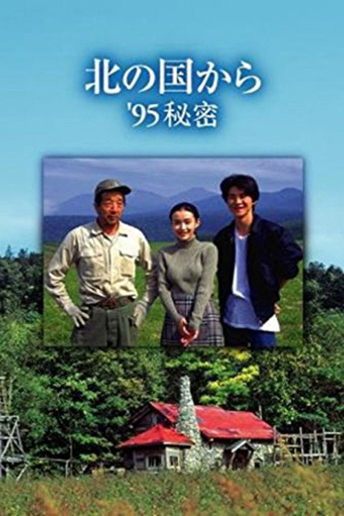 Movie poster for Kita no kuni kara '95 Himitsu (1995)