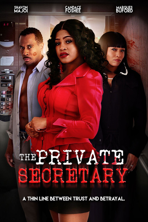 Movie poster for The Private Secretary (2024)
