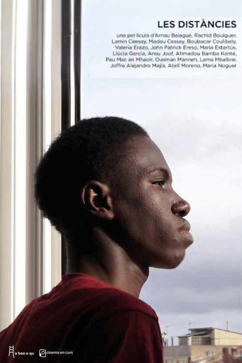 Movie poster for The distances (2025)