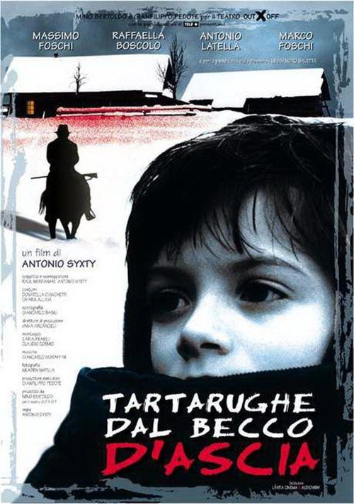 Movie poster for Tartarughe dal becco d'ascia (2000)