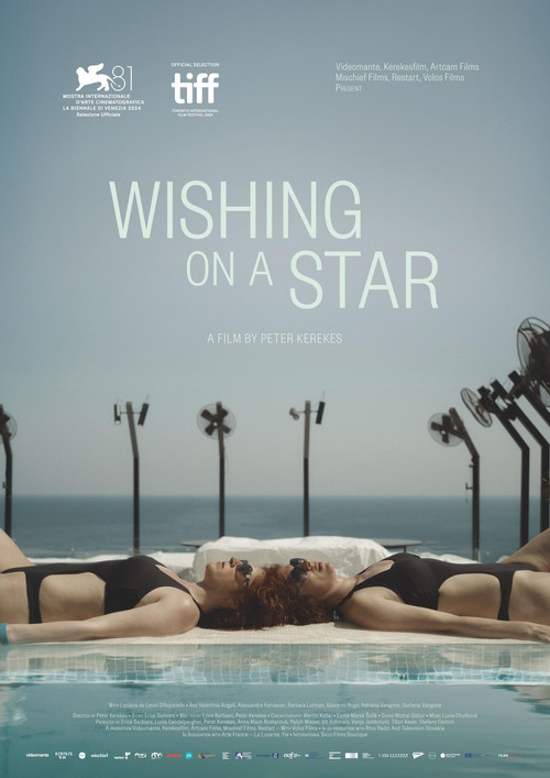 Movie poster for Wishing on a Star (2024)