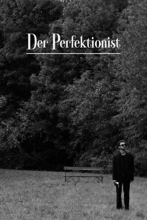 Movie poster for The Perfectionist