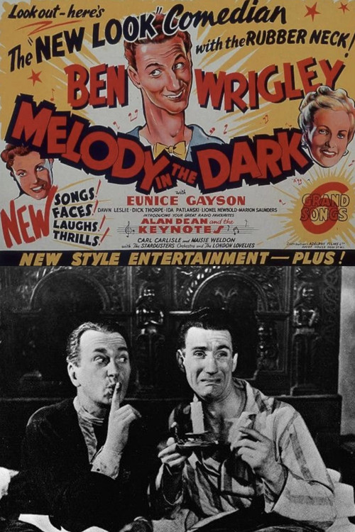 Movie poster for Melody in the Dark (1949)