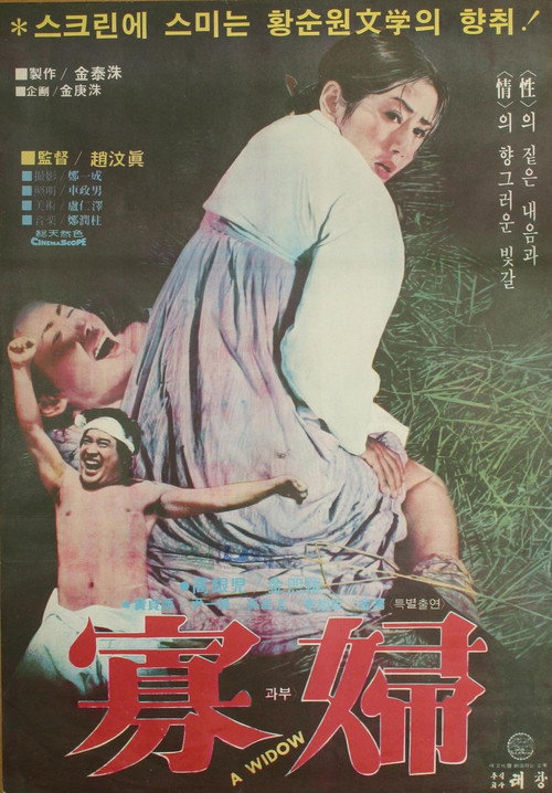 Movie poster for A Widow (1978)