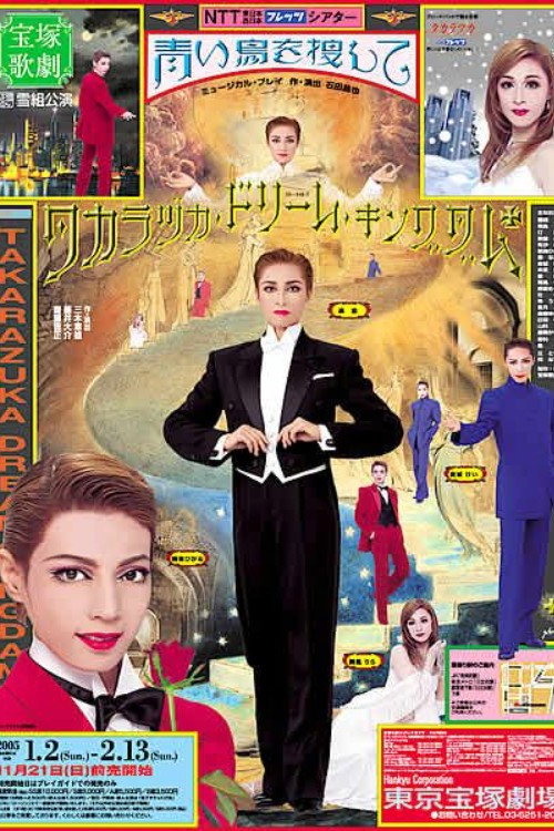 Movie poster for In Quest of the Blue Bird (2004)