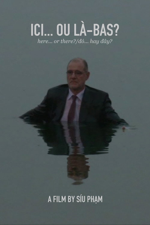 Movie poster for Here... or There? (2011)