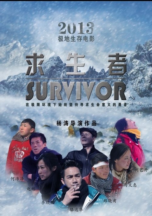 Movie poster for Survivor (2016)