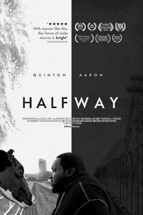 Movie poster for Halfway (2017)