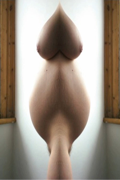 Movie poster for Pregnant Pussy Mash Up (2013)