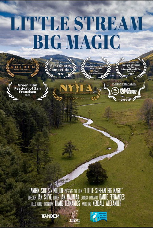 Movie poster for Little Stream, Big Magic (2022)