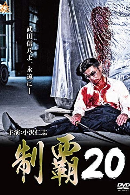 Movie poster for Conquest 20 (2019)