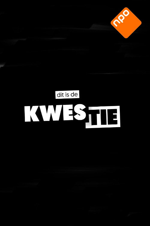 Series poster for Dit is de kwestie (2022)