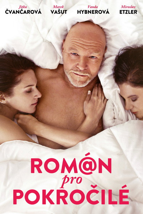 Movie poster for Román pro pokročilé (2019)