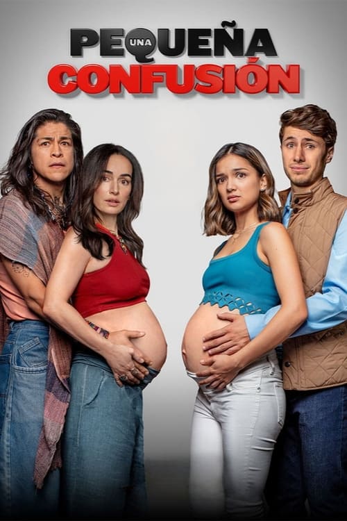 Movie poster for Una pequeña confusión (2024)