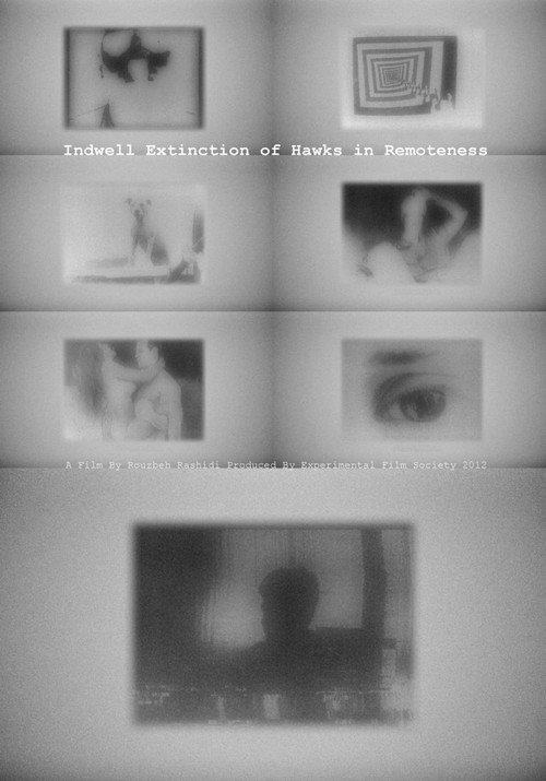 Movie poster for Indwell Extinction of Hawks in Remoteness (2012)