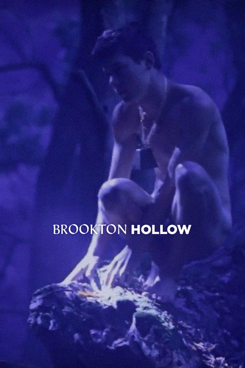 Movie poster for Brookton Hollow (2010)