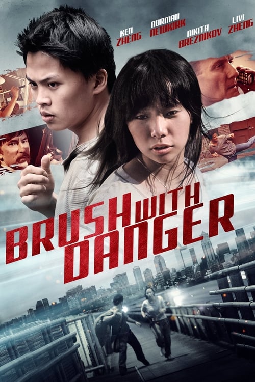 Movie poster for Brush with Danger (2014)