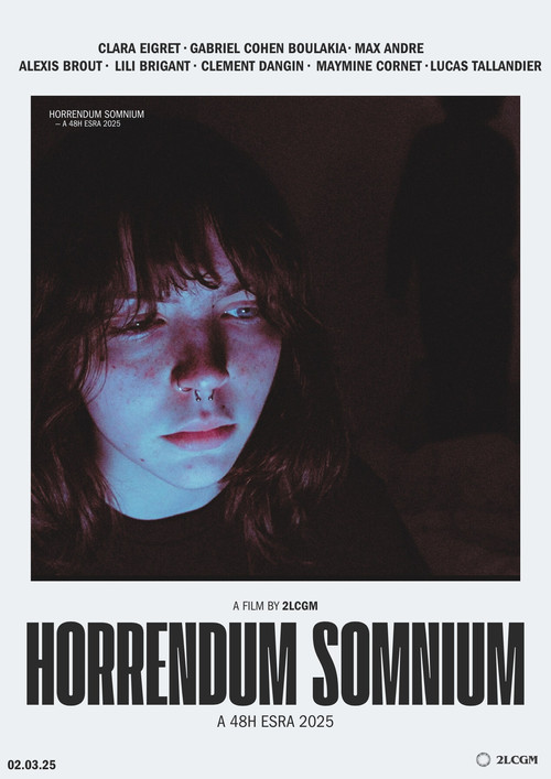 Movie poster for Horrendum Somnium (2025)
