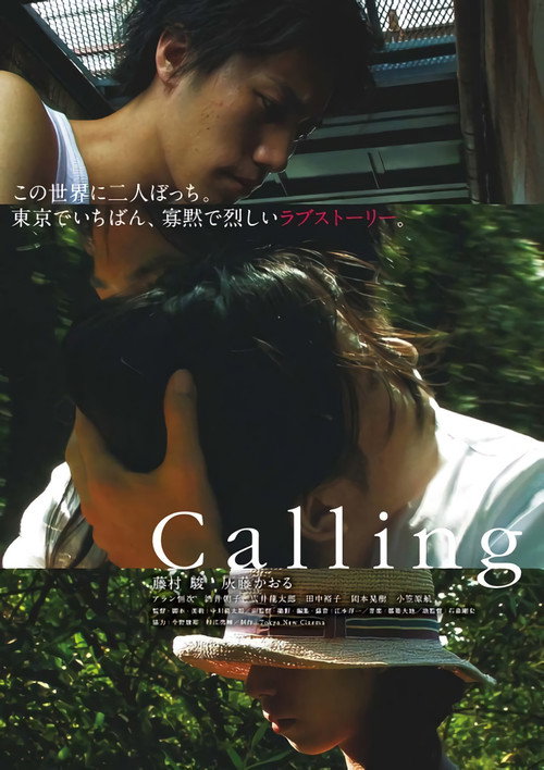 Movie poster for Calling (2012)