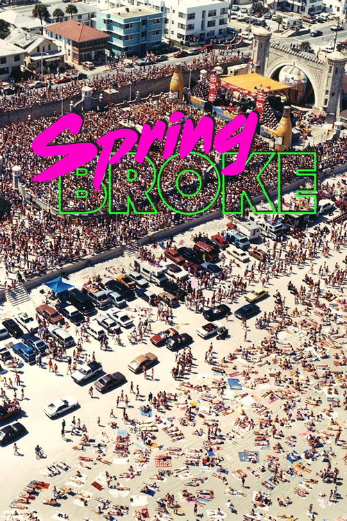 Movie poster for Spring Broke (2016)