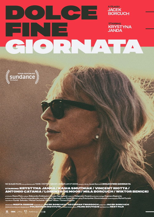 Movie poster for Dolce Fine Giornata (2019)