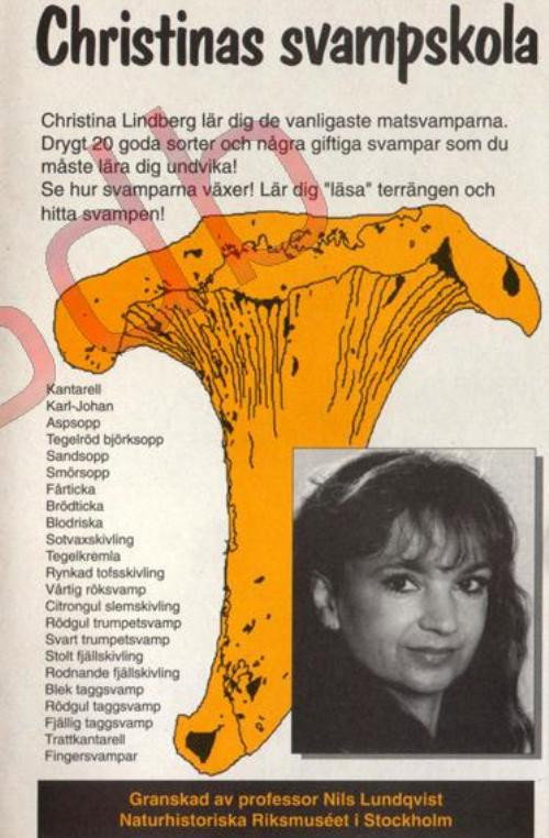 Movie poster for Christina's Mushroom School (1993)