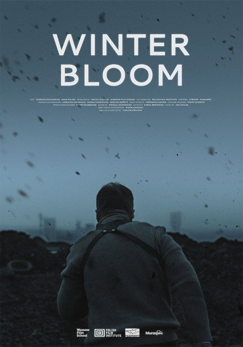Winter Bloom poster