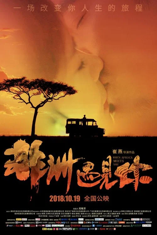 Movie poster for When Africa Meets You (2018)