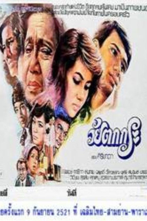 Movie poster for An Old Woman (1978)