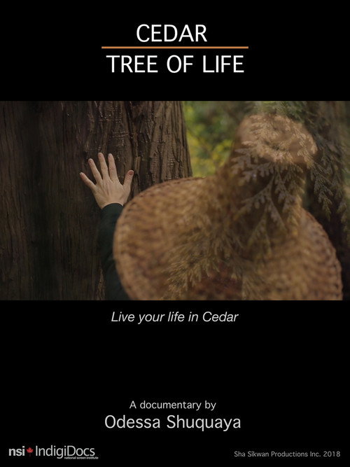 Movie poster for Cedar Tree of Life (2018)