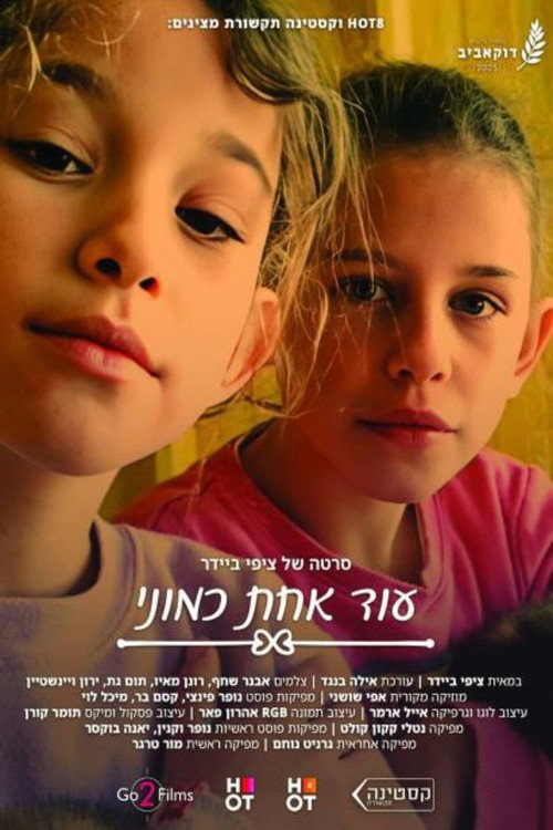 Movie poster for Another One Like Me (2025)
