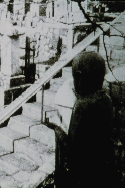 Movie poster for Jane's Window (2005)