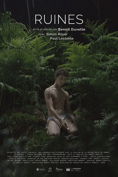Movie poster for Ruins (2019)