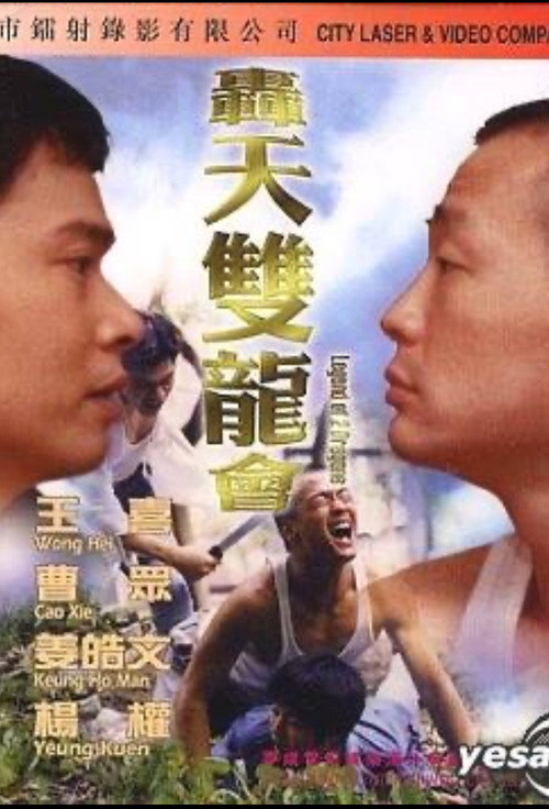 Movie poster for 轰天双龙会 (2000)