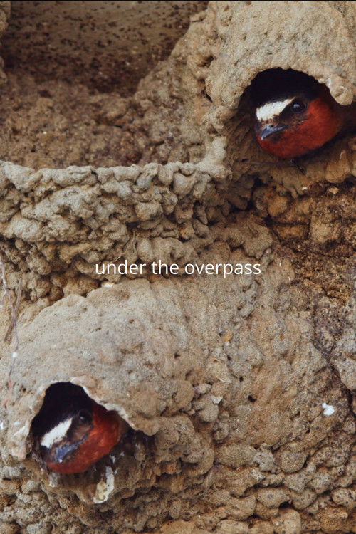 Under the Overpass poster