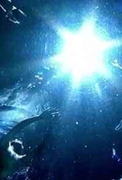 Pig Heart Boy poster